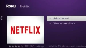 Netflix.com tv 8 on Roku
