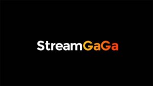 StreamGaGa Downloader for Netflix