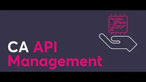 CA API Management:
